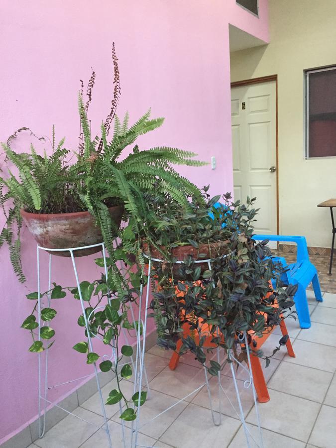 דירות מנאגווה Casa Mokoron מראה חיצוני תמונה